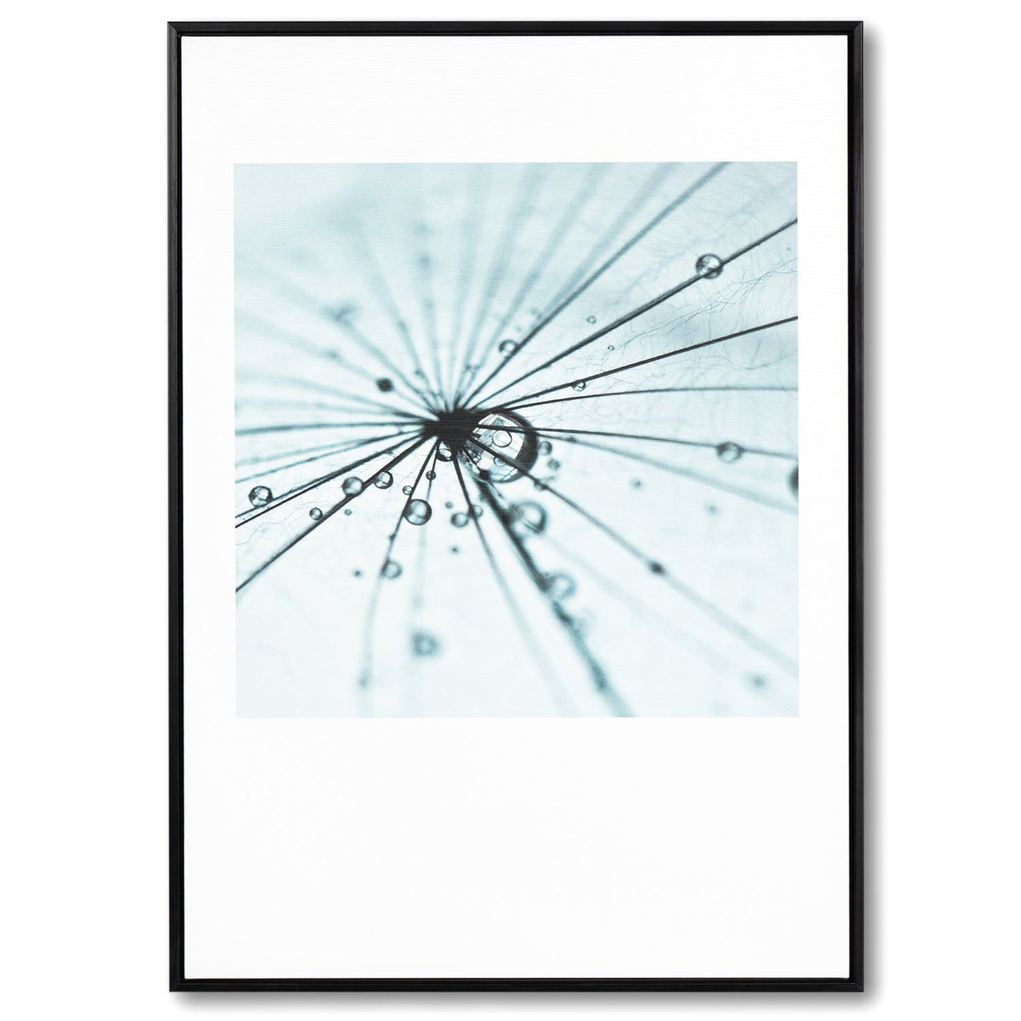 Dandelion painting