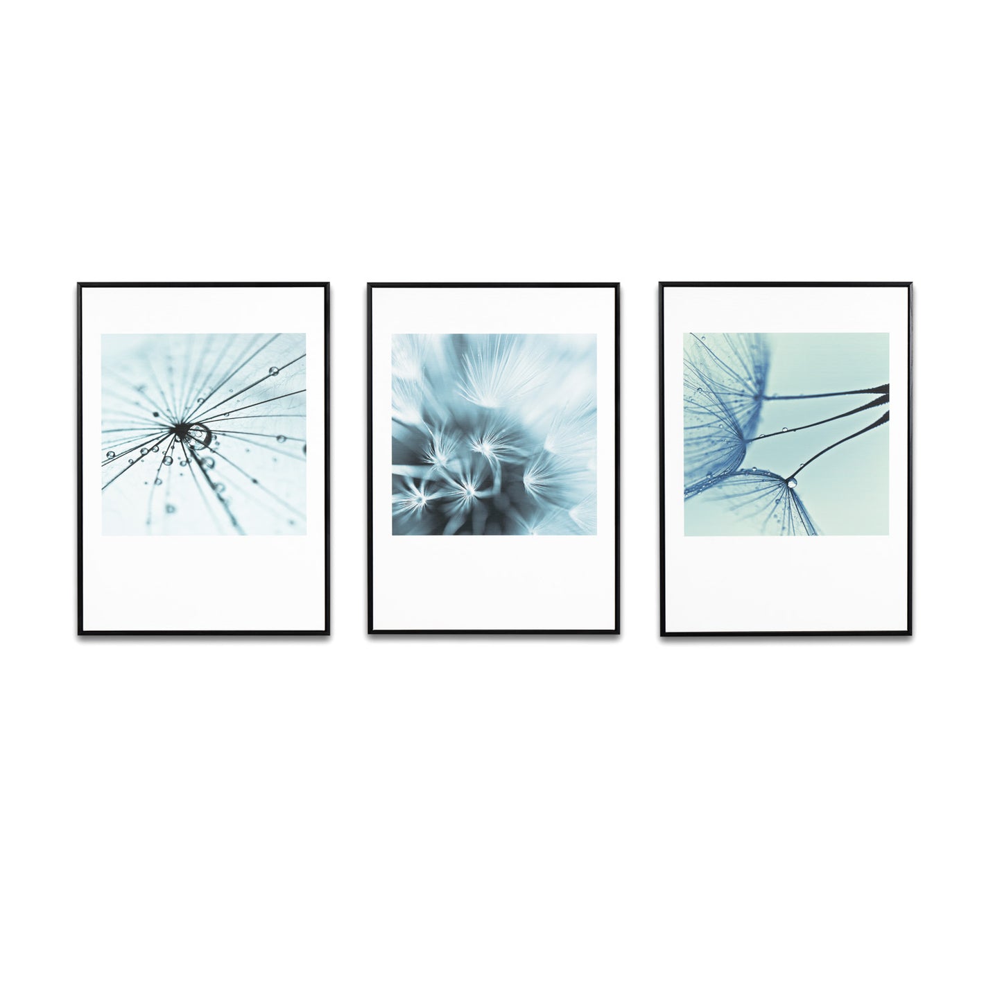 Dandelion painting