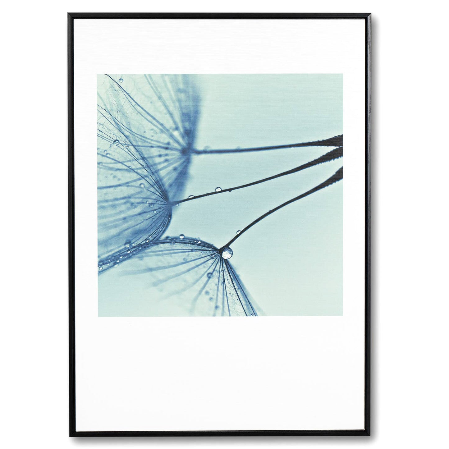 Dandelion painting