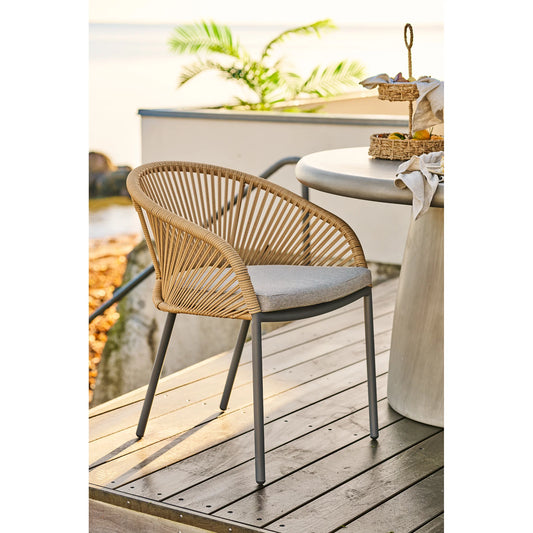 Novella dining chair