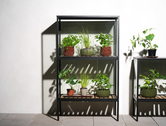 Grower Greens Växtskåp - Dusty Green, Svart - bild 7 [brafab-src:https://www.brafab.se/storage/F967C2E0F80FB1D1D0860C58A1339C8EC69E9270DC32C91543A124E12CD1D15A/7f9f4a763f4e4ceea3c7c7700b68d890/png/media/084b97c13acd47f1b60225dc28ede126/Grower%20greens.png]