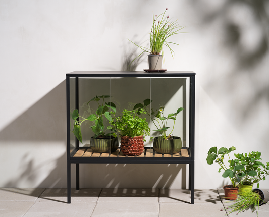 Grower Greens Växtskåp - Dusty Green, Svart - bild 16 [brafab-src:https://www.brafab.se/storage/EE647EA52710F513C1800BAA2CEFE422E21F9E3EBC22C09CC78FB1E302750A12/42b29309f4724238aedba334a8926867/png/media/c2b5a5e509144e288183ca1eb34237fd/Grower%20greens_1.png]