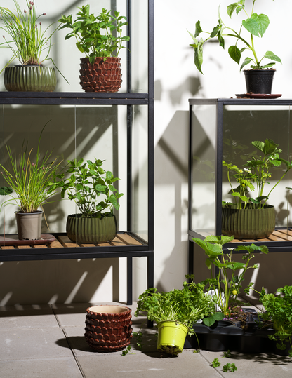 Grower Greens Växtskåp - Dusty Green, Svart - bild 6 [brafab-src:https://www.brafab.se/storage/3F3AAA0AEB3A24EF1AC7BB3AA407C8704A59365D8795BF12F2DE48E8E767AF79/f3d49a3ac01d4128bea2496131802261/png/media/1fd0e8af81c5454694d8776f4c712885/Grower%20greens_2.png]