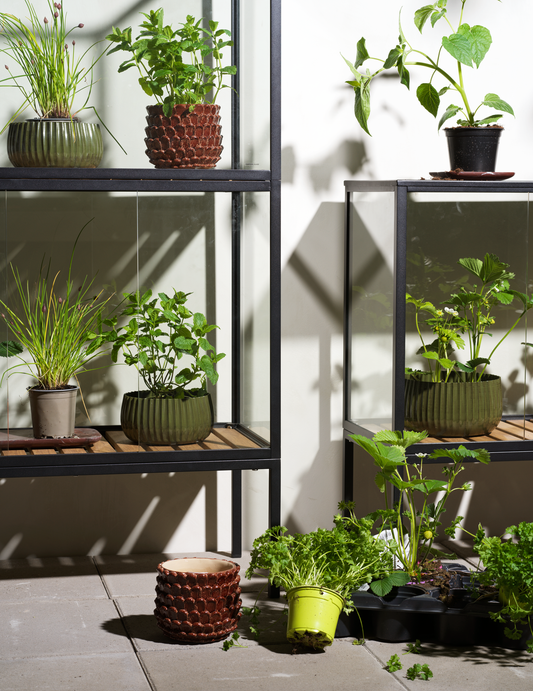 Grower Greens Växtskåp - Dusty Green, Svart - bild 6 [brafab-src:https://www.brafab.se/storage/3F3AAA0AEB3A24EF1AC7BB3AA407C8704A59365D8795BF12F2DE48E8E767AF79/f3d49a3ac01d4128bea2496131802261/png/media/1fd0e8af81c5454694d8776f4c712885/Grower%20greens_2.png]