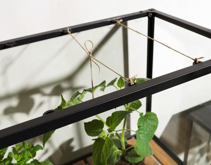 Grower Greens Växtskåp - Dusty Green, Svart - bild 9 [brafab-src:https://www.brafab.se/storage/70407470999A7B7EADFC42F82875F7F843B0173FE4BB513C259412F6D1978DF0/95cda14a2d09426b89be97e63a07393c/png/media/efe6084b823643ea8c638764c6fe1b5d/Grower%20greens%20amb_4.png]