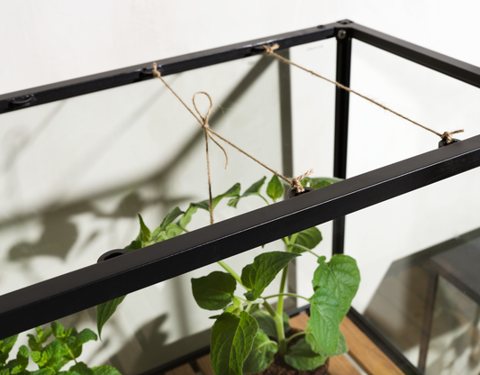 Grower Greens Växtskåp - Dusty Green, Svart - bild 9 [brafab-src:https://www.brafab.se/storage/70407470999A7B7EADFC42F82875F7F843B0173FE4BB513C259412F6D1978DF0/95cda14a2d09426b89be97e63a07393c/png/media/efe6084b823643ea8c638764c6fe1b5d/Grower%20greens%20amb_4.png]