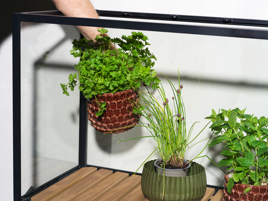 Grower Greens Växtskåp - Dusty Green, Svart - bild 11 [brafab-src:https://www.brafab.se/storage/2BD163ED3C55EBE6DBE428CF61F93E0AD4E220A85801485BC0734F6F76104F61/c558dc86f7bf4f89975e62ecf52d1410/png/media/804cdbc2151b4ba3ab6bbff1bb96beaa/Grower%20greens_6.png]