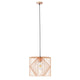 Llevar lámpara de techo