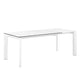 Tamara extendable dining table